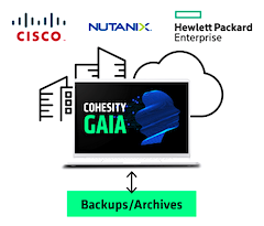 Cohesity Gaia Ankündigung